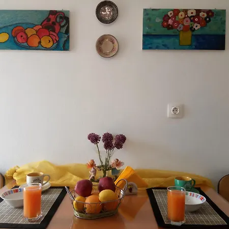 Apartment Happy Owl City